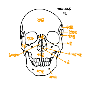 이미지 없음